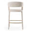 Arshaluys Upholstered Counter Stool-512497246