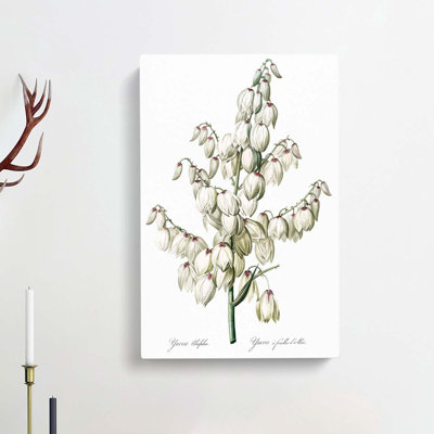 Yucca Flowers by Pierre-Joseph Redoute - Wrapped Canvas