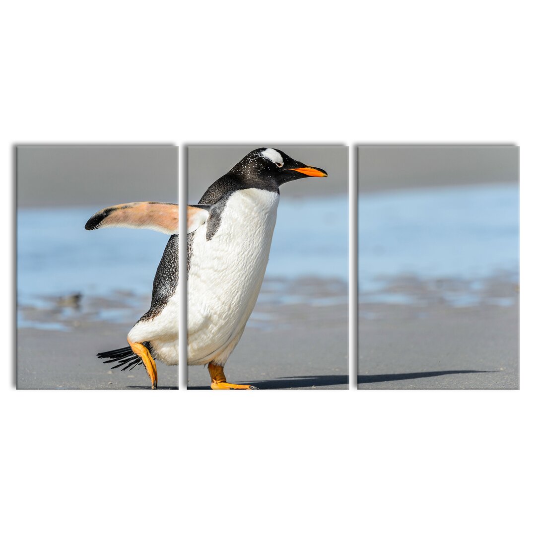 3-tlg. Leinwandbilder-Set Penguin on the Beach