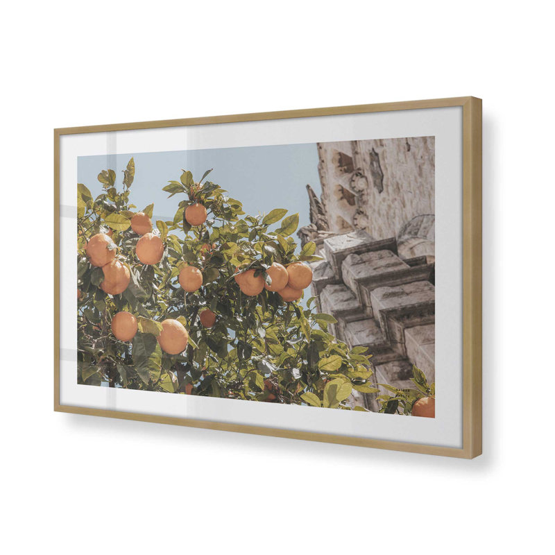 «Méditerranée Citrus Grove», Or brossé, H 12,25 po x l 15,25 po