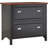 Waelder Accent Chest-1346368374