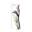 "Calla Lily Faith", toile tendue par Albert Koetsier-223234377
