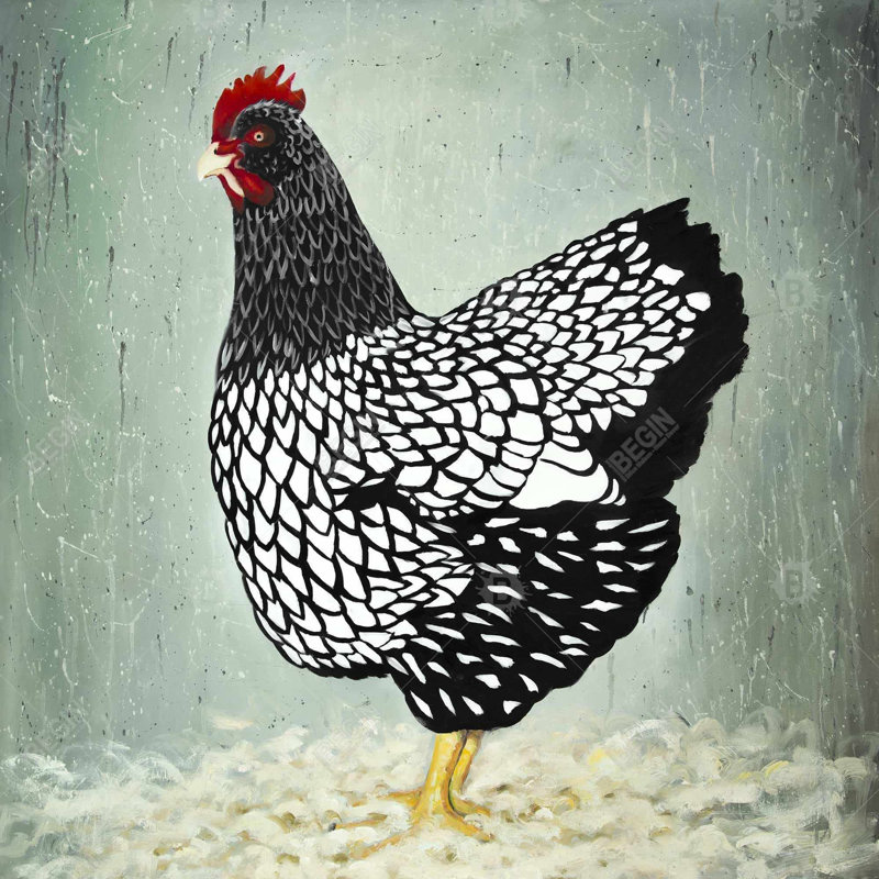 Poule Wyandotte, art sur toile, plumes d'animaux