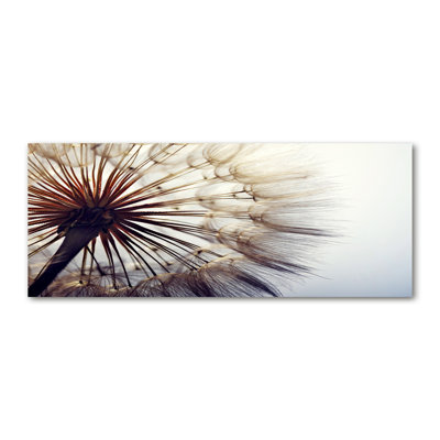 Dandelion - Wrapped Canvas Print
