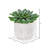 6'' Faux Succulent in Cement Pot