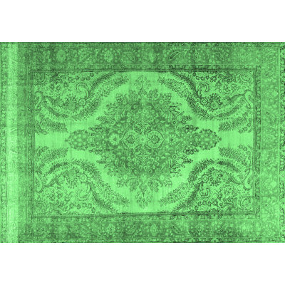 Oriental Indoor Rug