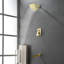 Bath And Shower Faucet Trim-125490537