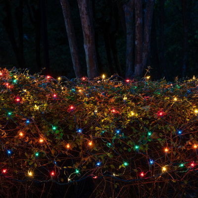 150-Bulb Mini Net Lights with Glass Bulbs