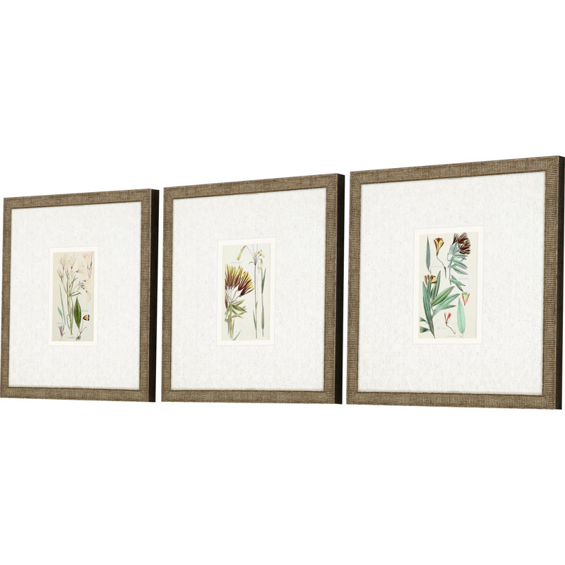 Ensemble de trois reproductions d'art encadrées dorées
