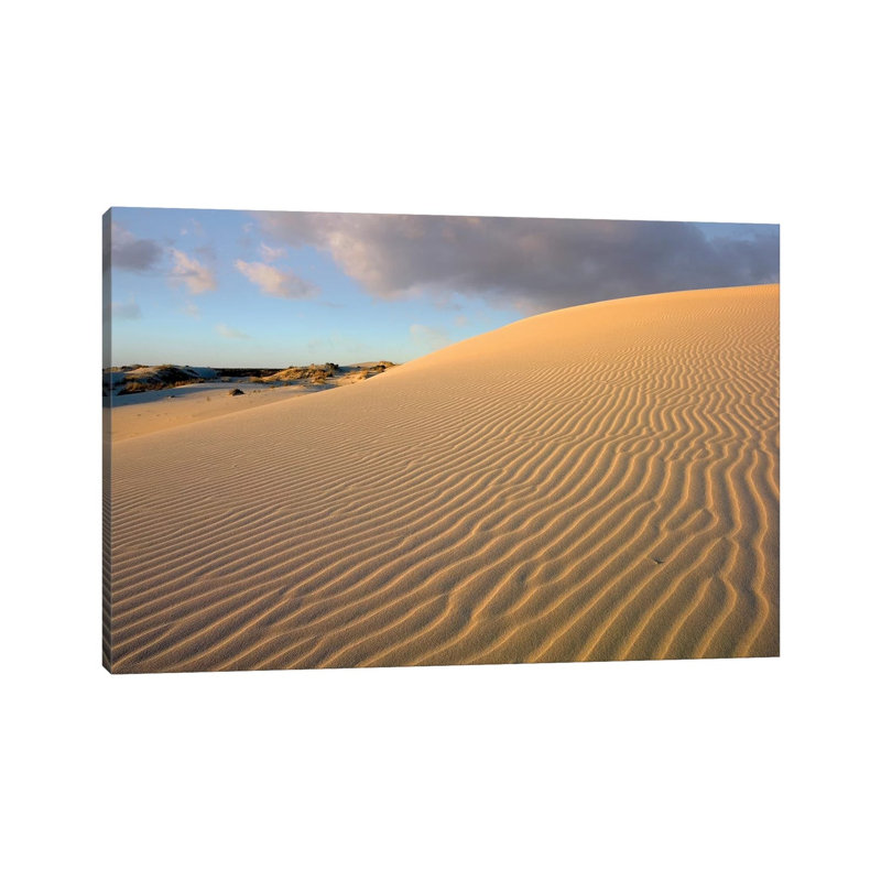 Sand Dune, Monahans Sandhills State Park, Texas 1 Piece Wall Art on Canvas, 45.72cm H x 66.04cm W