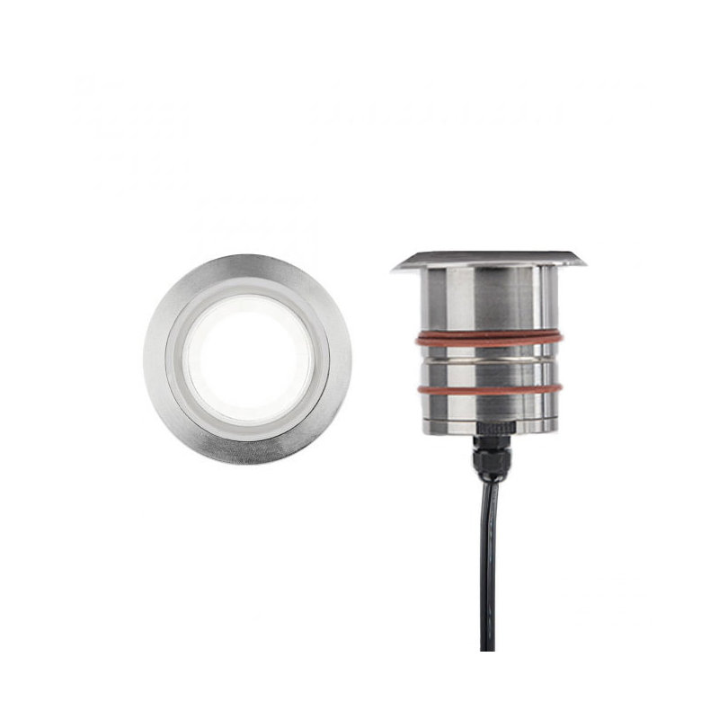 LED Well Light, Stainless Steel