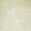 Rouleau de papier peint Larinda-1442651604