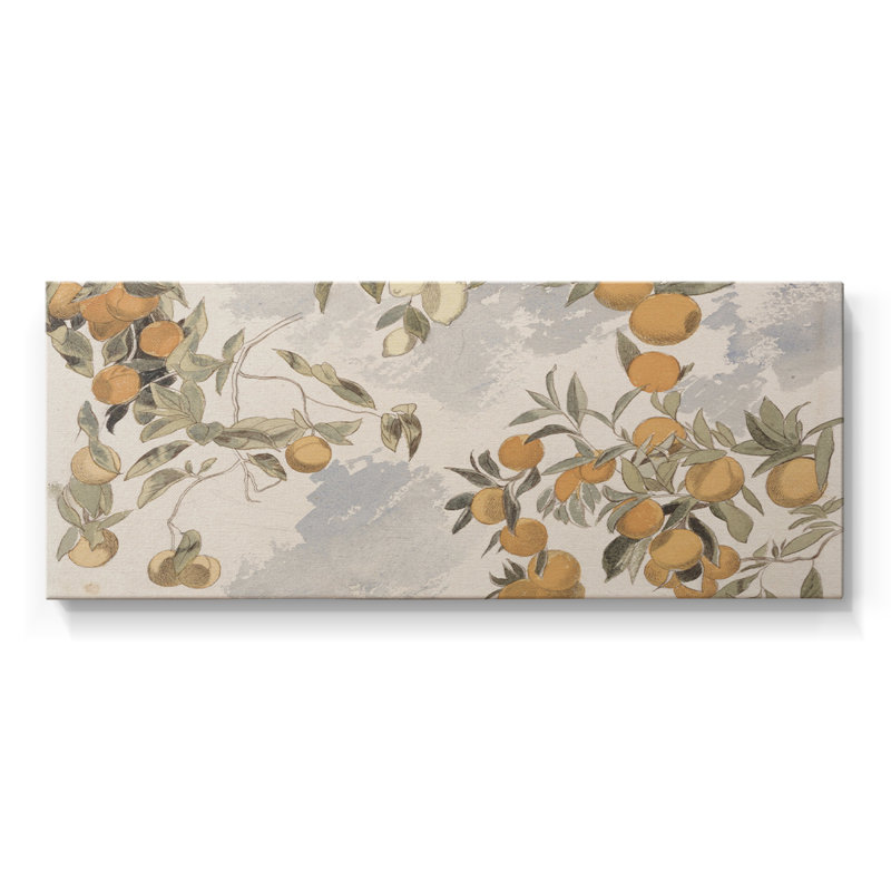 Botanical Series-CDXLIV- Toile tendue avec châssis - Prêt à accrocher, H 20 po x l 50 po