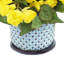 Begonias in Dotted Ceramic Pot-42062682