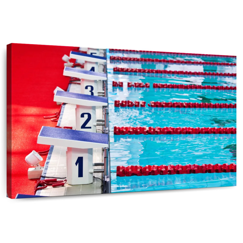 Sireci Swimming League, 16" H x 24" W