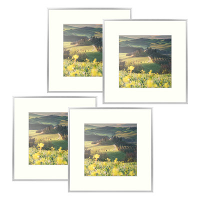 Drennon Metal Picture Frame Set with Mat