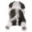 Shih Tzu Puppy Sleeping Statue