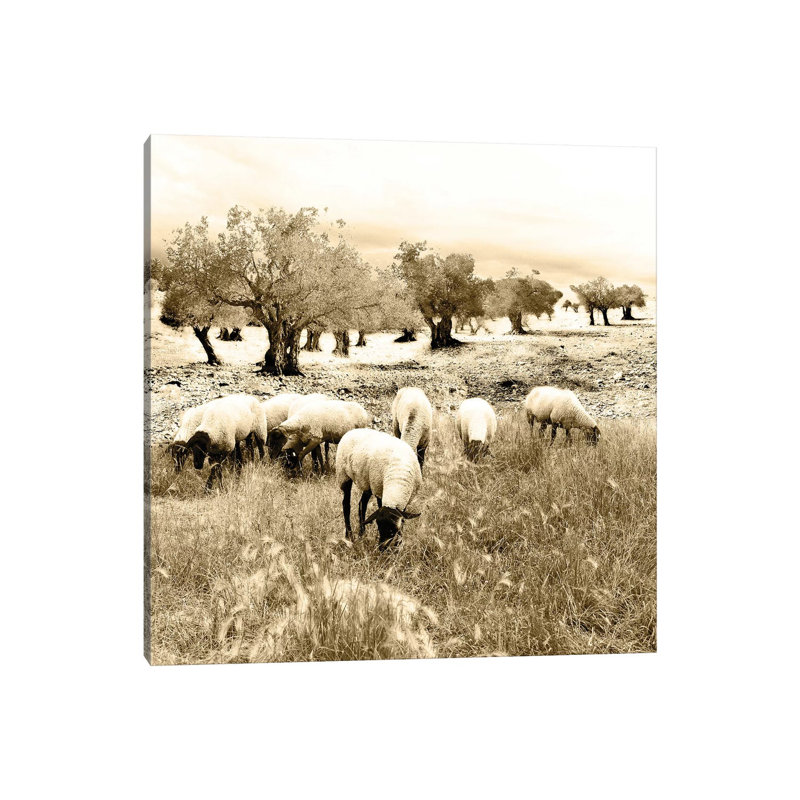 Out In The Fields by Ynon Mabat - Wrapped Canvas Print, 30.48cm H x 30.48cm W