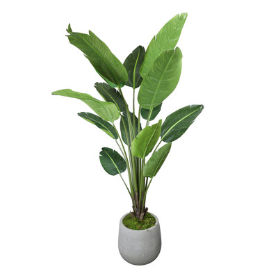 6.5' UV Rated Outdoor Palm Tree in Fiberstone Pot