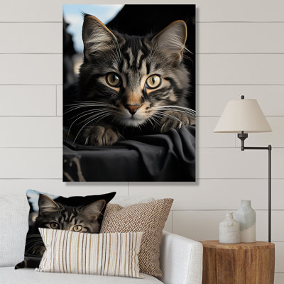 Portrait de chat Atascosa IV - reproduction