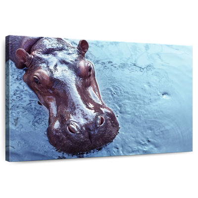 Floating Hippo