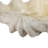 Caulksville Landscape & Nature Figurines & Sculptures