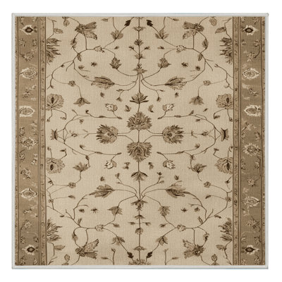 Machine Washable Persian Beige Area Rug