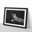 Leopard - Picture Frame Graphic Art Print-56859839-56859836