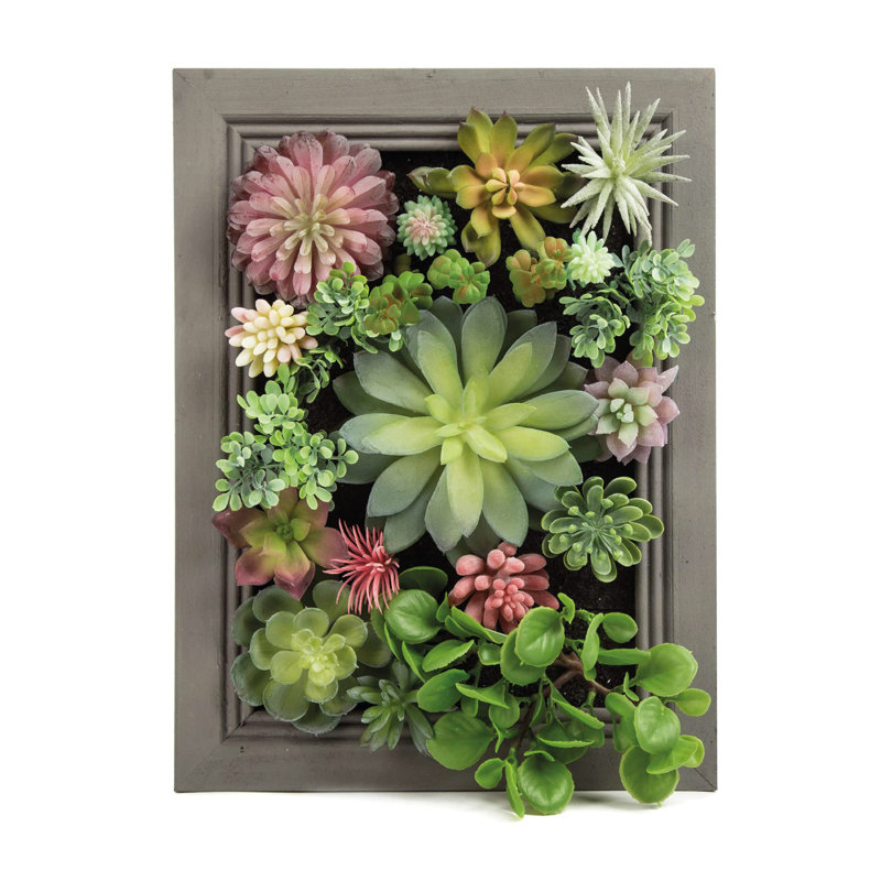 Décoration 3D de plantes succulentes murales simulées