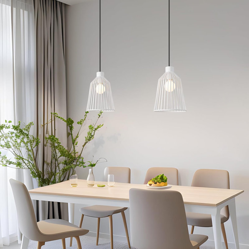 1 - Light Matte Black Caged Pendant, White