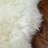 Burgett Genuine Sheepskin Rug Fluffy Ivory Shag Area Rug-113431145