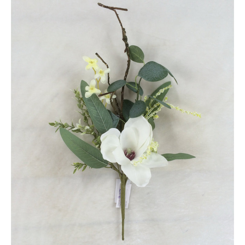 Tiges de magnolia et feuilles vertes