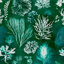 Green/White
