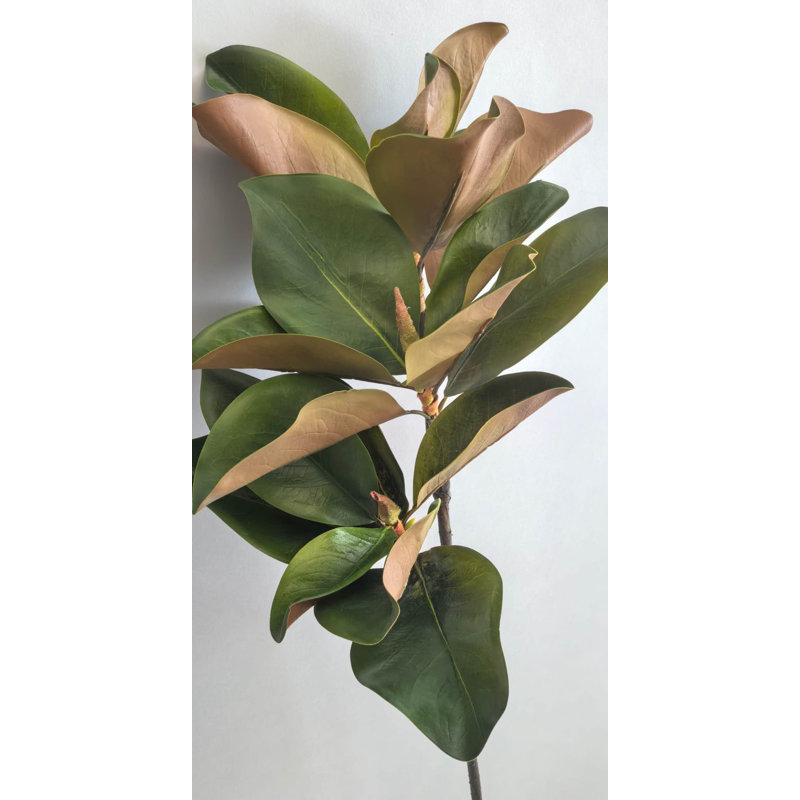 SPRAY À FEUILLES DE MAGNOLIA X3, H 20 po x l 5 po