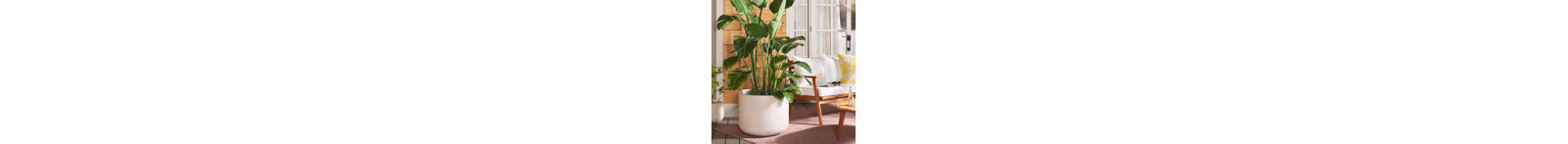 Norah Pot Planter-1280828918