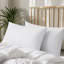 Ensemble de 2 coussins décoratifs Goose Feather-2037027827