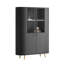Elodie II China Cabinet with Lighting-1631410841