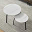 Ensemble de 2 tables basses