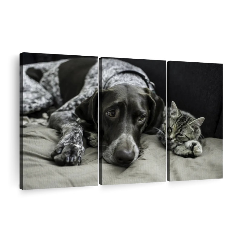 «Dog and Cat Friends» sur toile, H 48 po x l 74 po