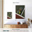Raquettes et balles de tennis Sireci-108422456