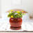 Handmade Ceramic Pot Planter