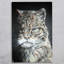 SAM FENNER Traditional Wall Decor on Ceramic