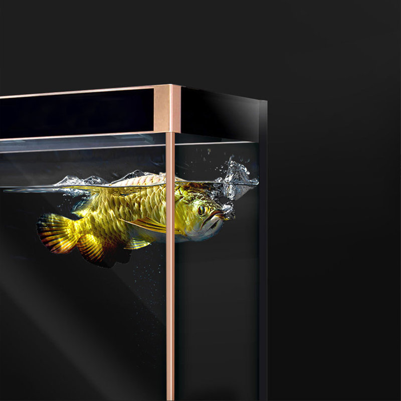 Aquarium de luxe rectangulaire noir Eco Deluxe