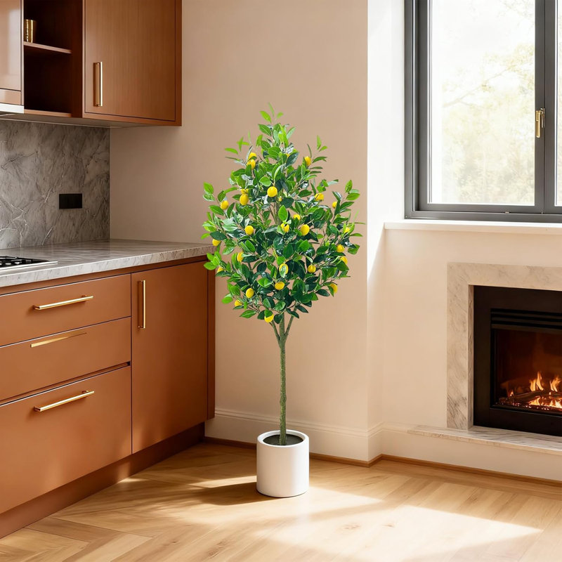 150cm Plant