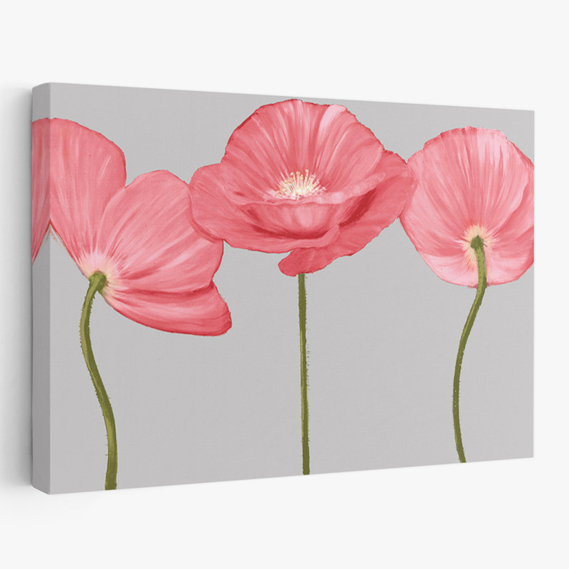 Plantes, fleurs, coquelicots IV, art mural, H 32 po x l 48 po