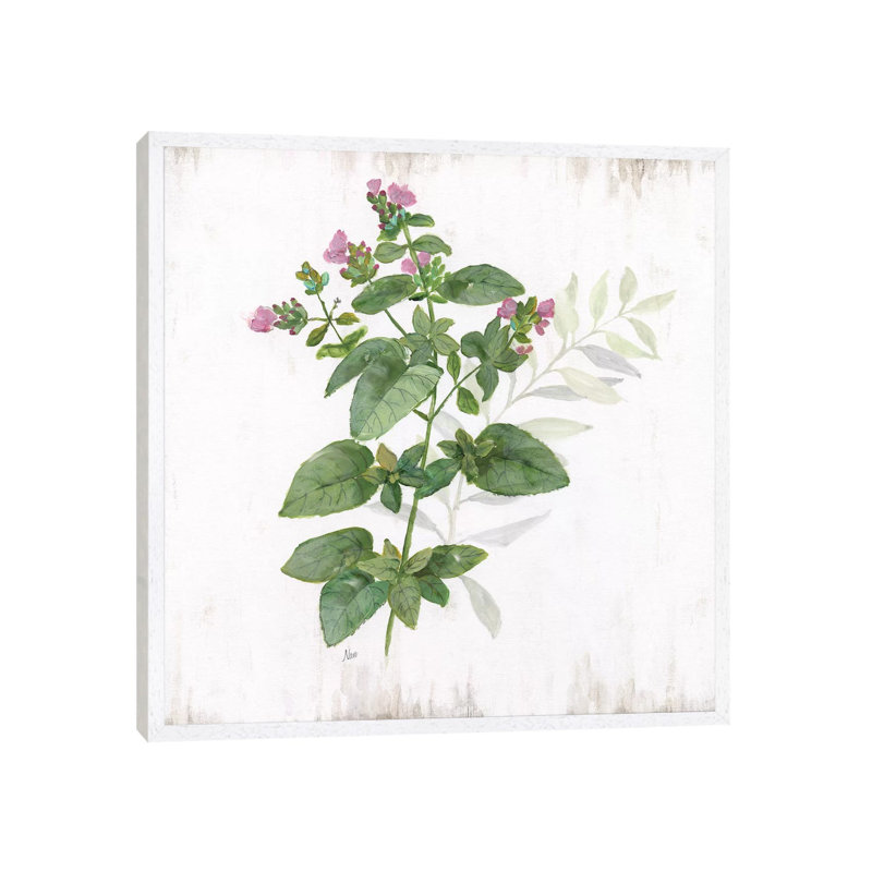Kitchen Garden I by Nan - Print on Canvas, 45.72 cm H x 45.72 cm W, White Framed