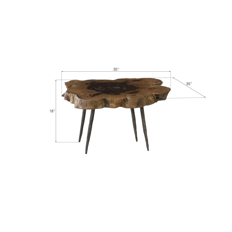 Natural Wood Slice Coffee Table with Iron Legs