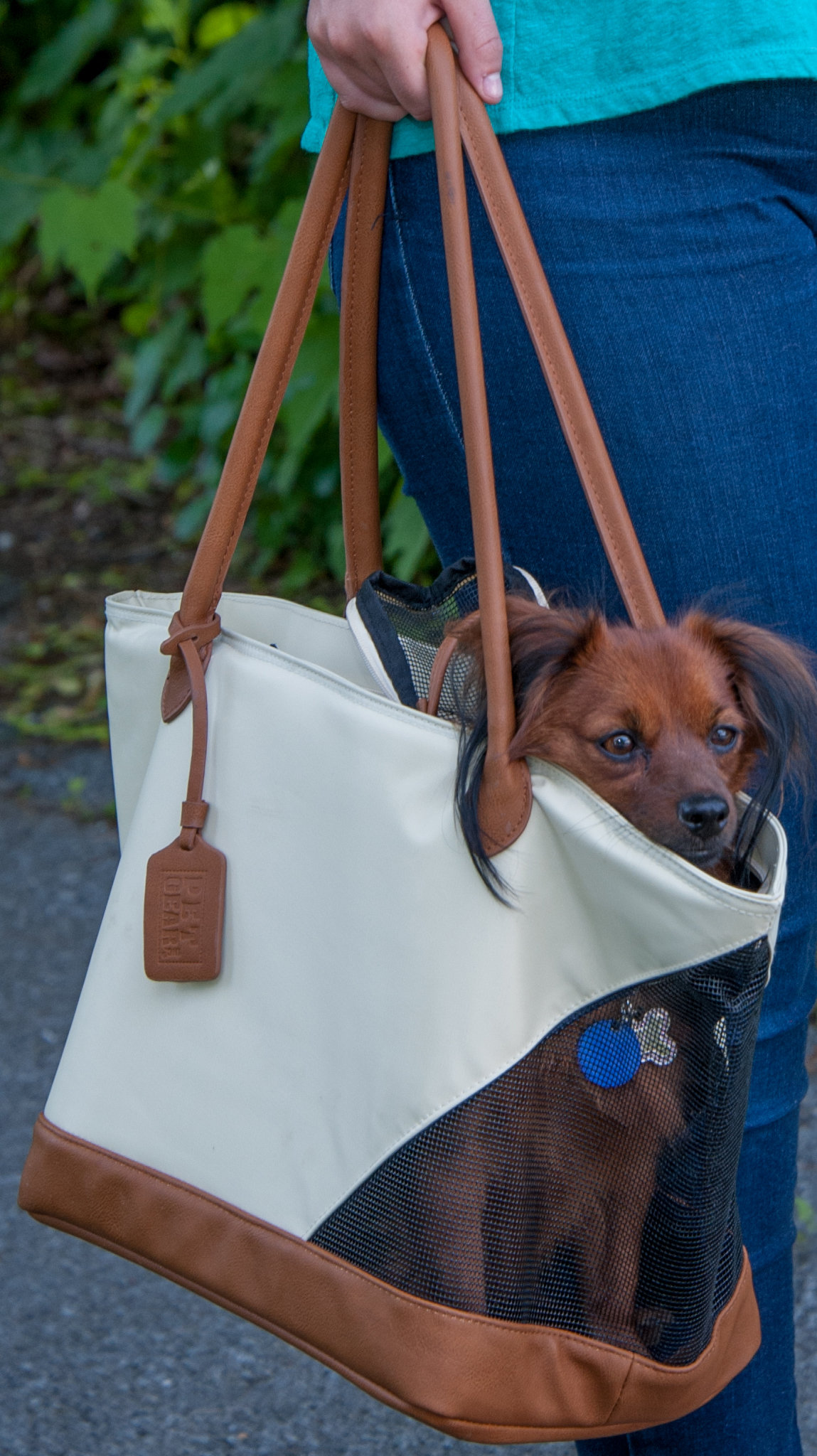 Pet Gear Collapsible Pet Carrier & Reviews Wayfair