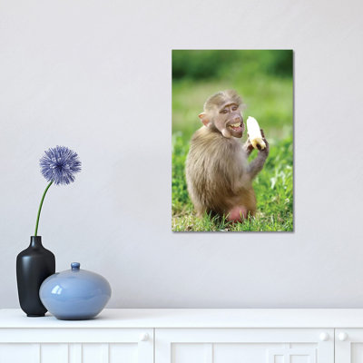 Smiling Monkey 1 Piece Wrapped Canvas Wall Art