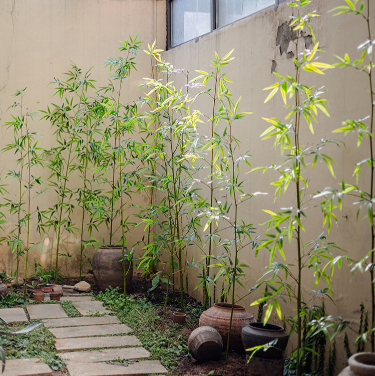 Bamboo Stem, 55.1" H x 23" W x 1" D